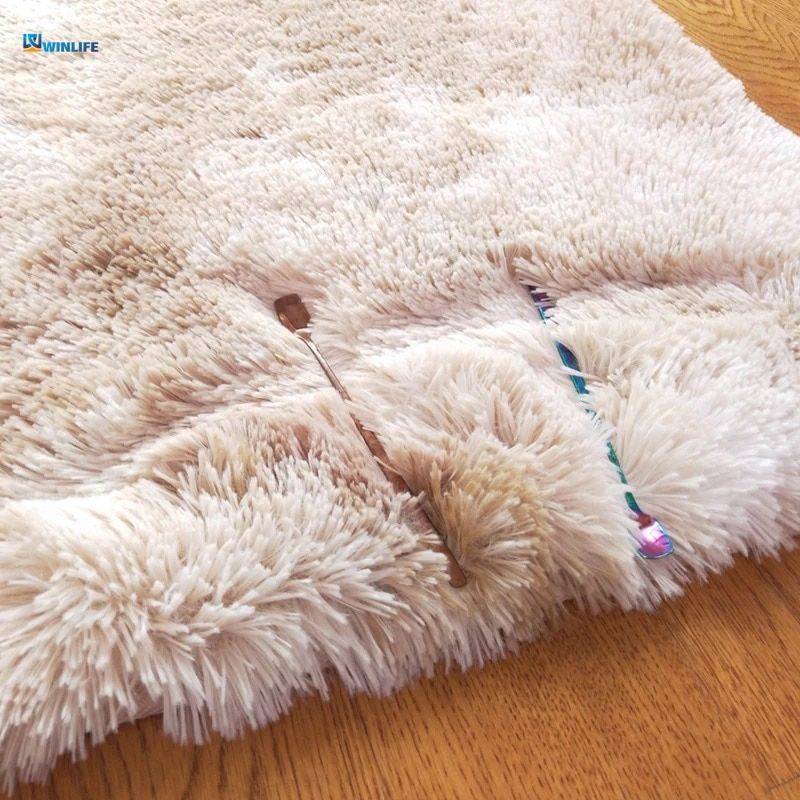 Plush Rug On Carpet Living Room Large Size Non Slip Area Rug