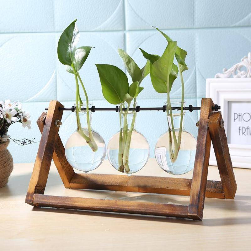 Glass Hanging Hydroponics Pot With Wooden Tray – Indoor Plants With Pot