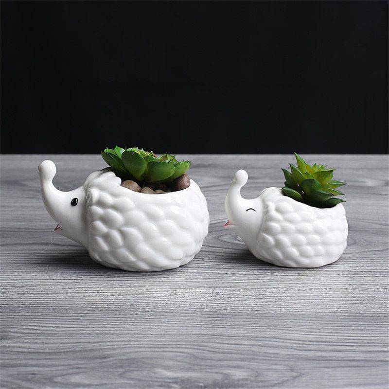 Cute Small White Glazed Ceramic Hedgehog Plan Pots – Indoor Plants In Pot