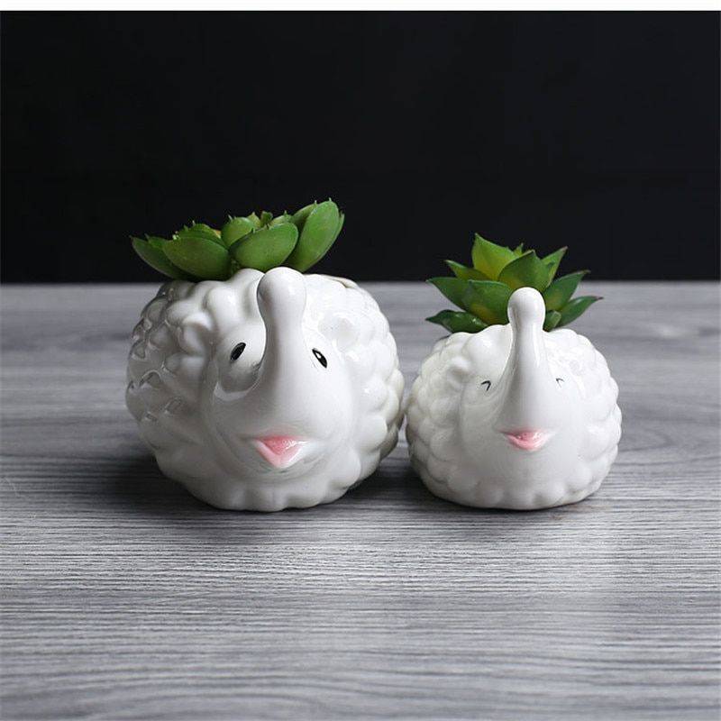 Cute Small White Glazed Ceramic Hedgehog Plan Pots – Indoor Plants In Pot