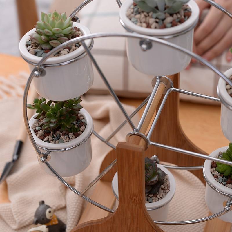 White Ceramic Flower Pots With Ferris Wheel – Succulent Planters